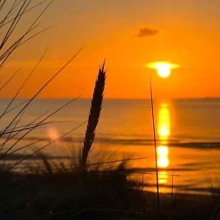 L'abri-cotier A 30 Metres De La * Annoville