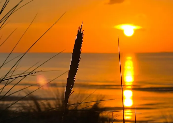 L'abri-cotier A 30 Metres De La * Annoville